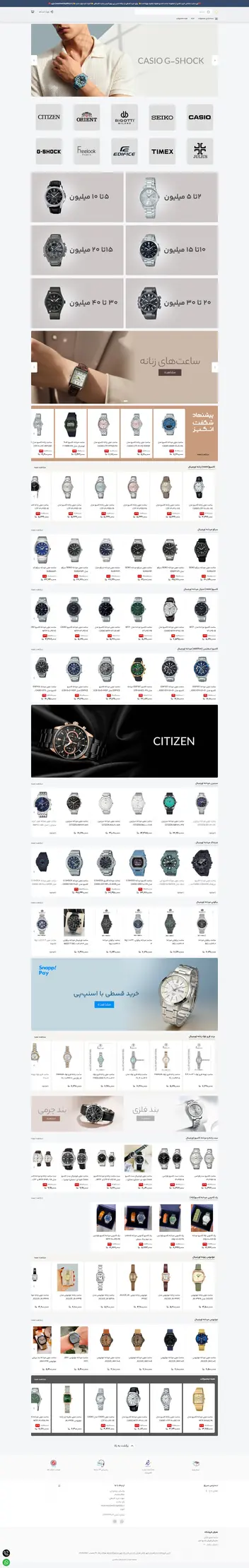 Saat Asadi website preview